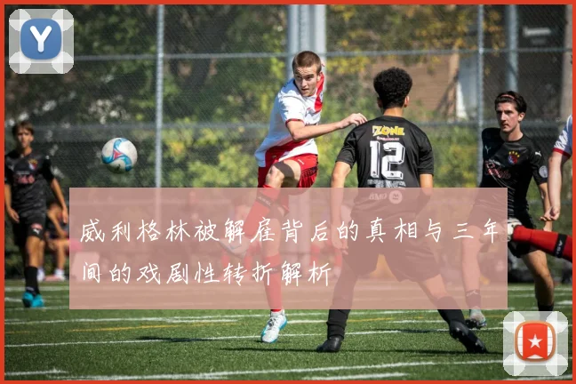 威利格林被解雇背后的真相与三年间的戏剧性转折解析