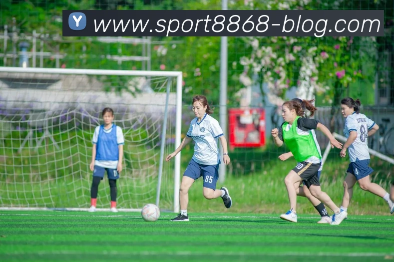 8868体育平台生态图